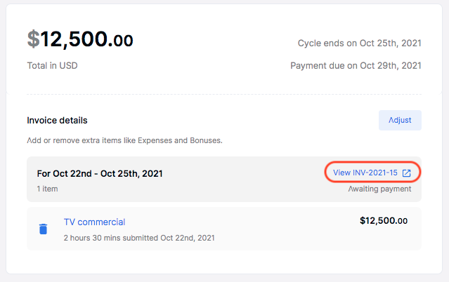 review_invoice_1.png